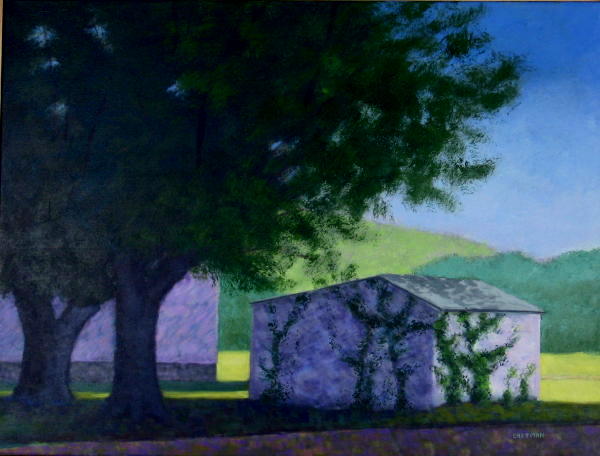 Shed in the Shade.acrylic.40X30.JPG